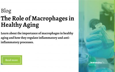 Healthy Aging and the Role of  Macrophages