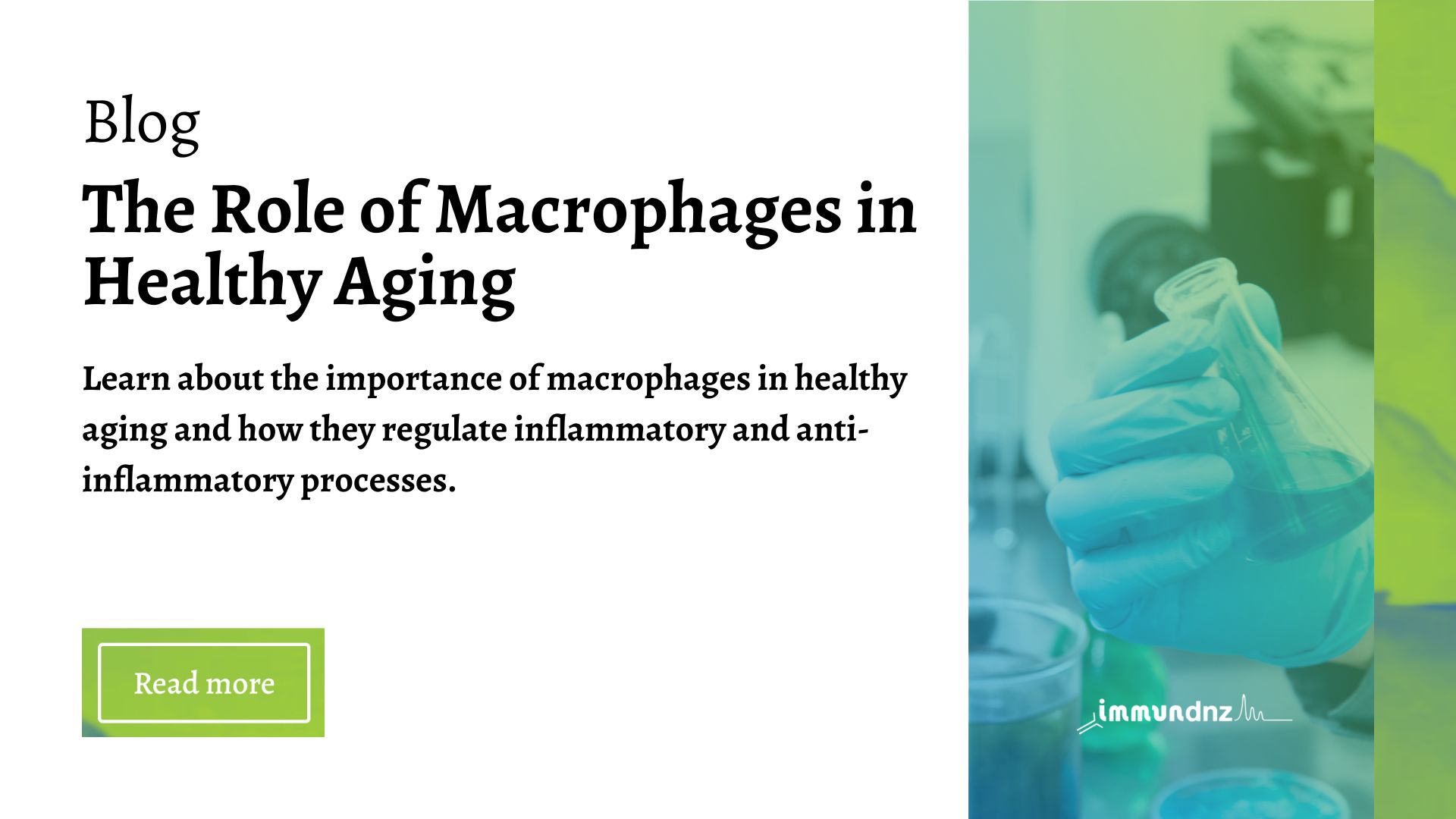 the role of macrophages in healthy aging