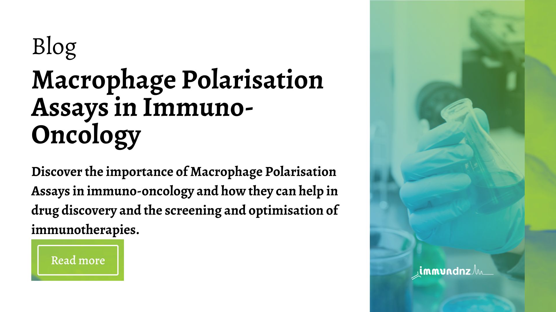 macrophage polarisation assays in immuno-oncology