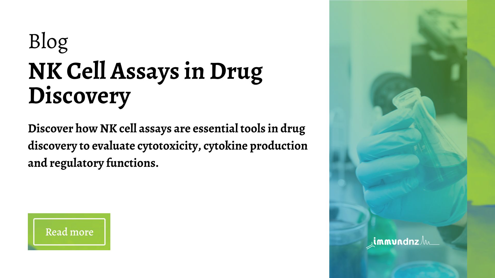NK cell assays in drug discovery